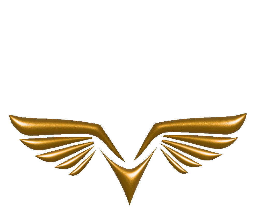 wings sound medicine school